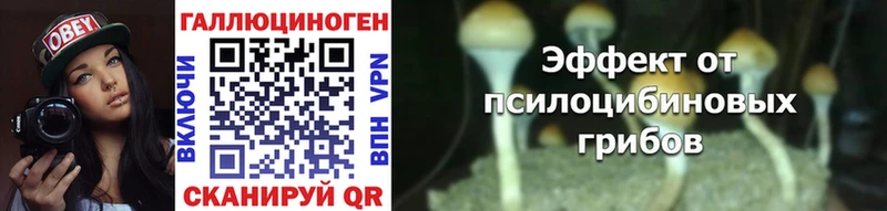 что такое   ОМГ ОМГ   Псилоцибиновые грибы MAGIC MUSHROOMS  Зуевка 